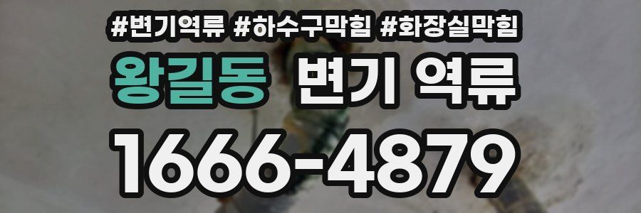 왕길동 변기 역류