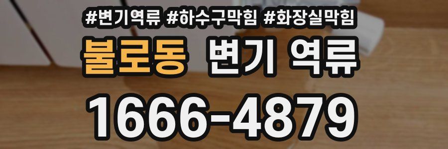 불로동 변기 역류