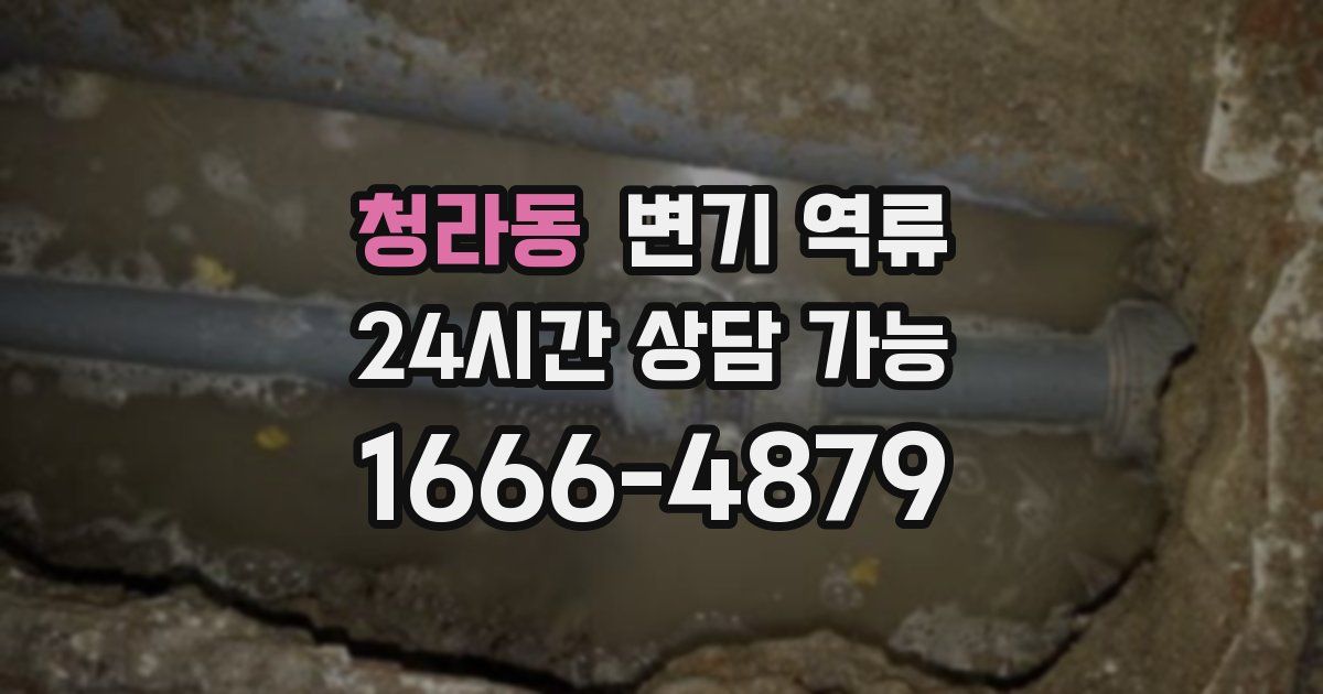 청라동 변기 역류