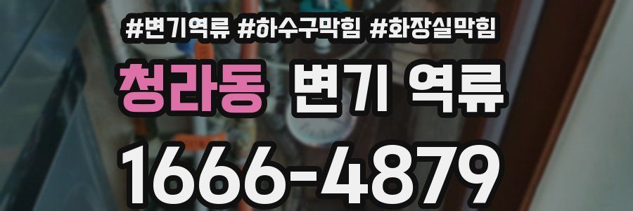 청라동 변기 역류