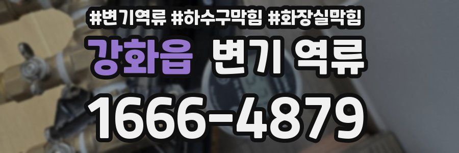 강화읍 변기 역류