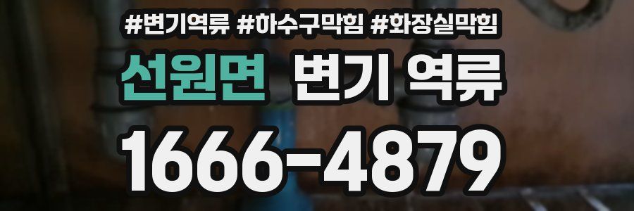 선원면 변기 역류
