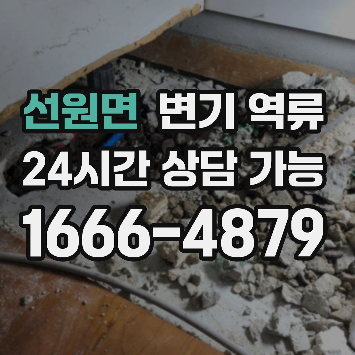 선원면 변기 역류