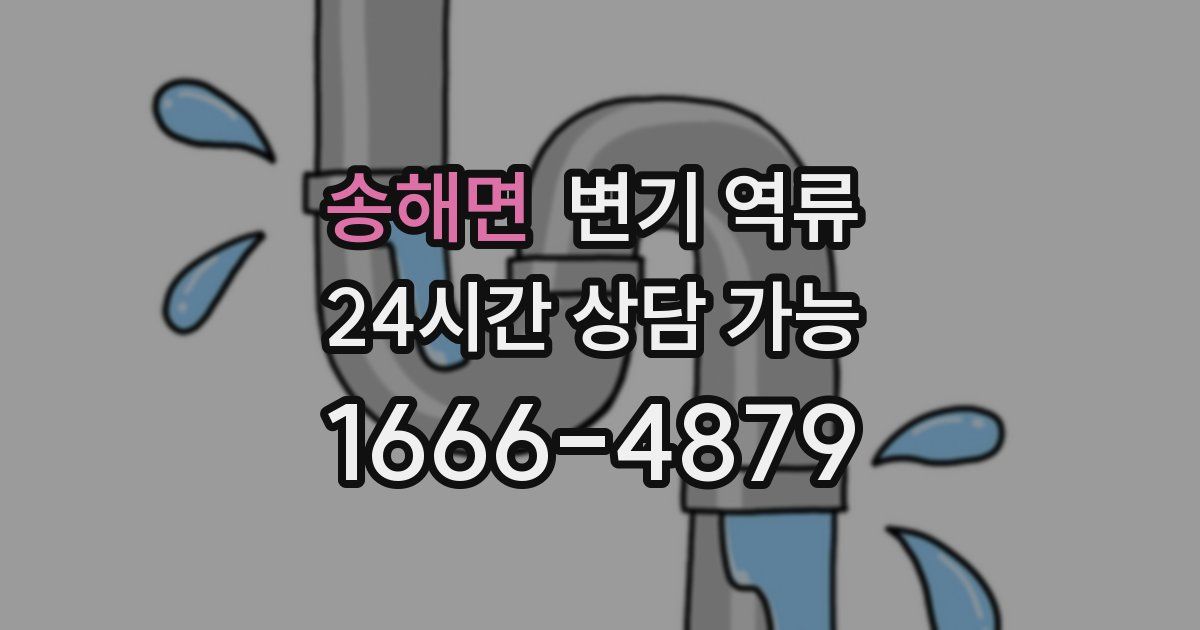 송해면 변기 역류