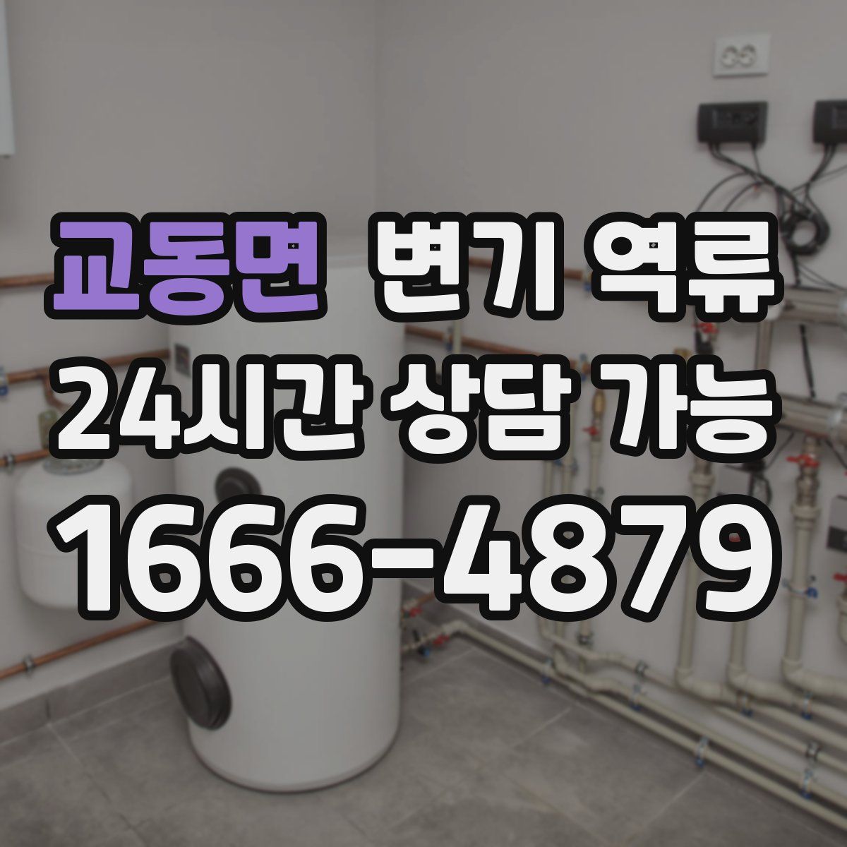 교동면 변기 역류