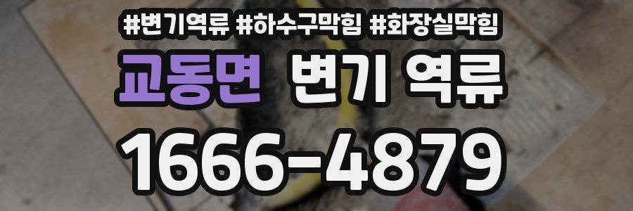 교동면 변기 역류