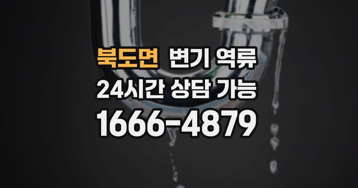 북도면 변기 역류