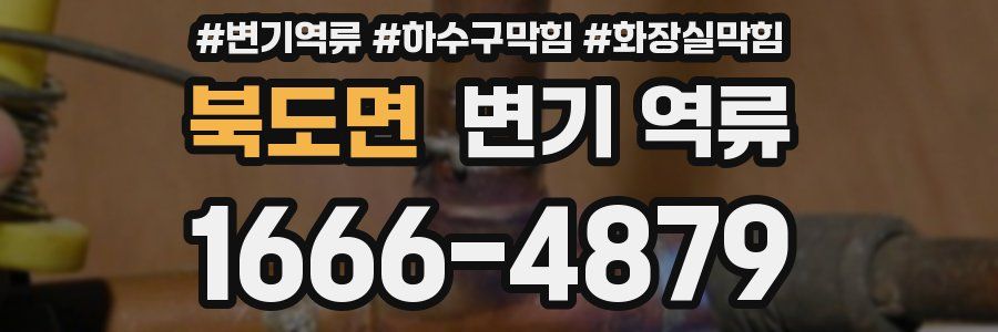 북도면 변기 역류