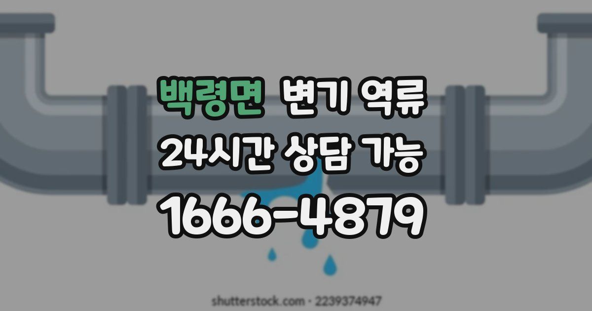 백령면 변기 역류