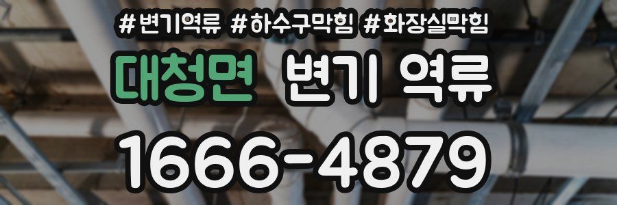 대청면 변기 역류