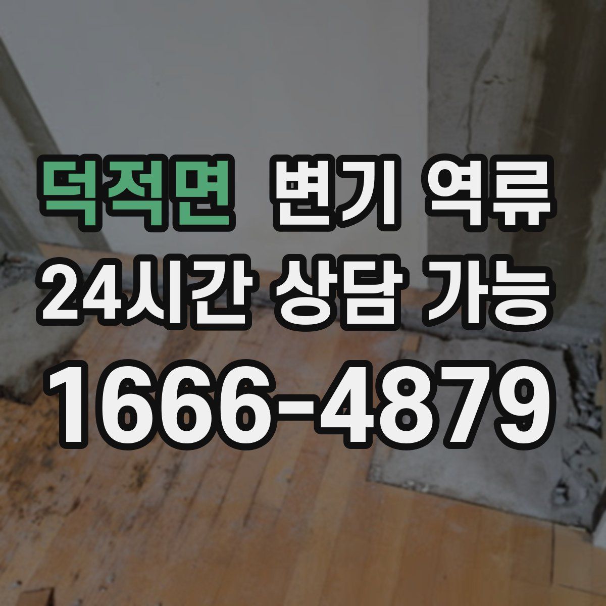 덕적면 변기 역류