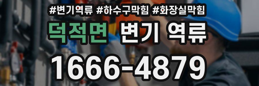 덕적면 변기 역류