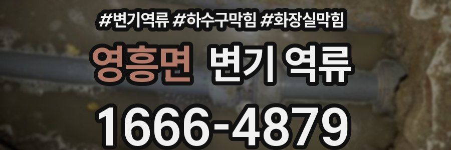 영흥면 변기 역류