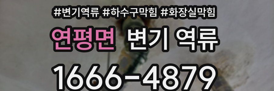 연평면 변기 역류