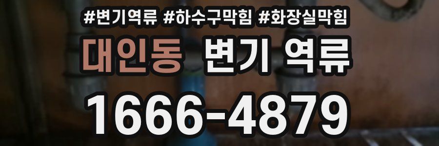 대인동 변기 역류