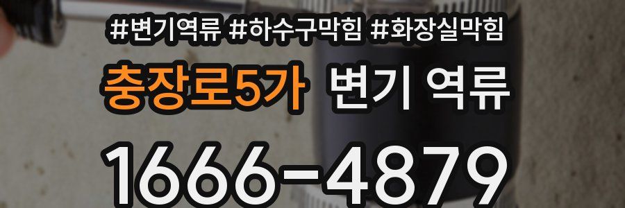 충장로5가 변기 역류