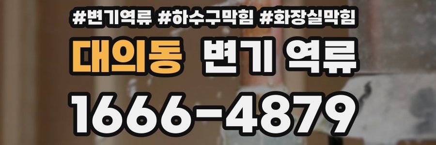 대의동 변기 역류