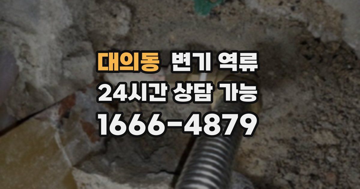 대의동 변기 역류