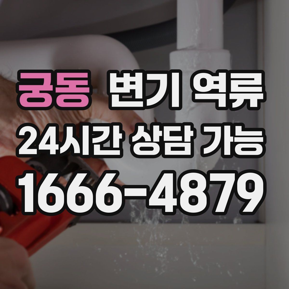 궁동 변기 역류 갑자기 물이 차오를 때 가장 먼저 해야 할 일