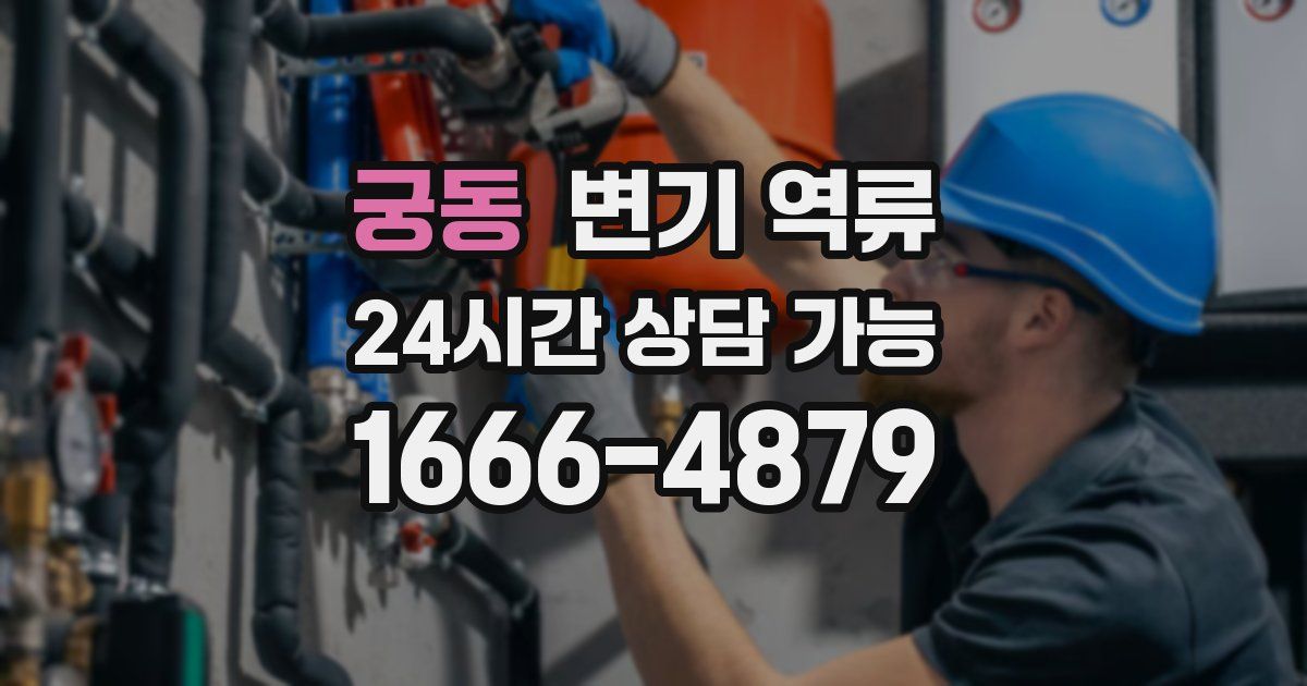 궁동 변기 역류