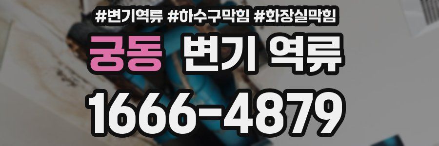 궁동 변기 역류