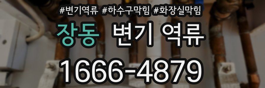 장동 변기 역류