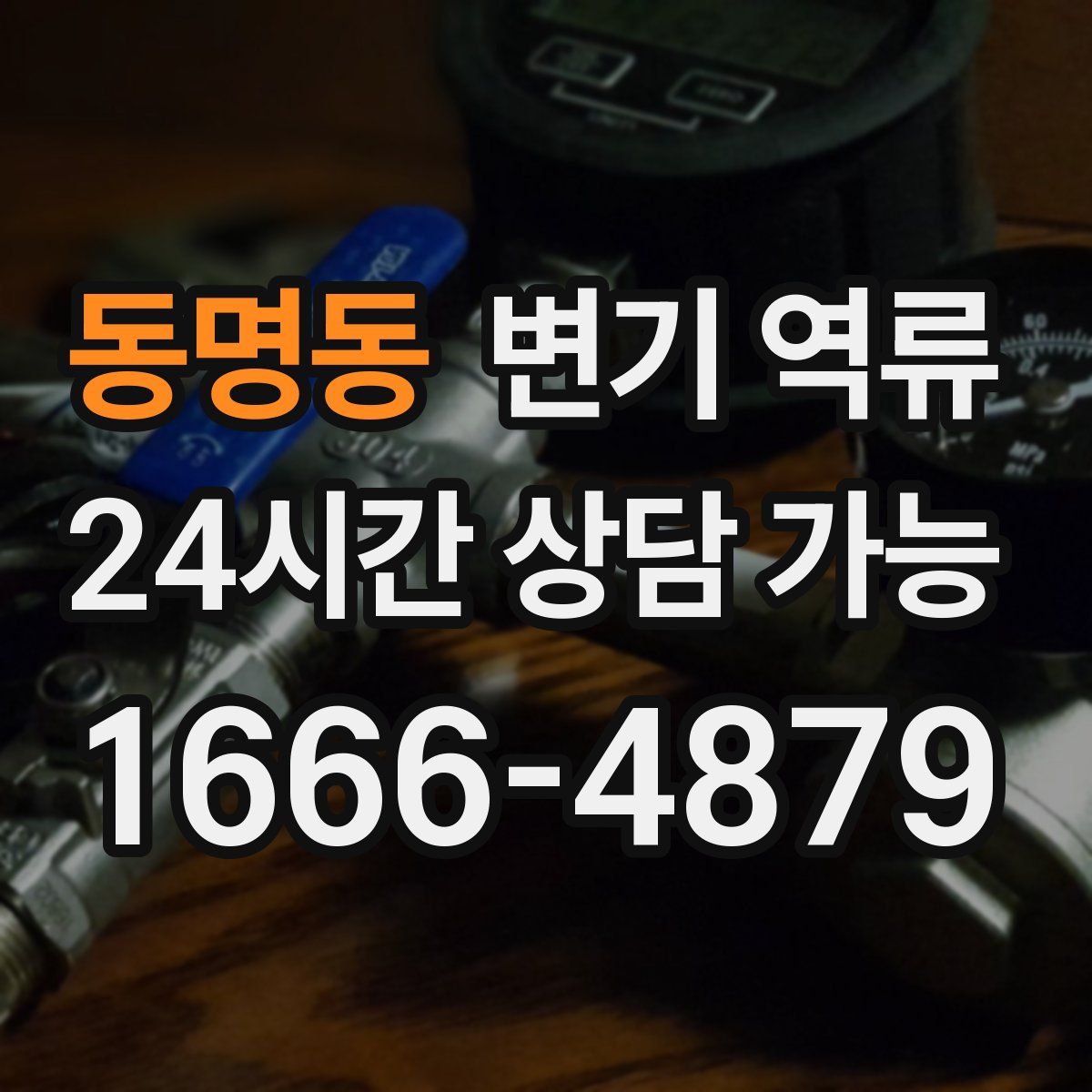 동명동 변기 역류