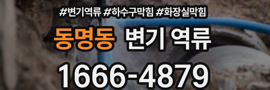 동명동 변기 역류
