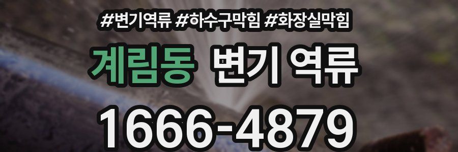 계림동 변기 역류