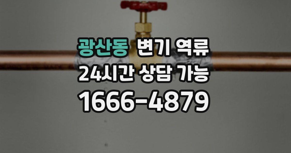 광산동 변기 역류