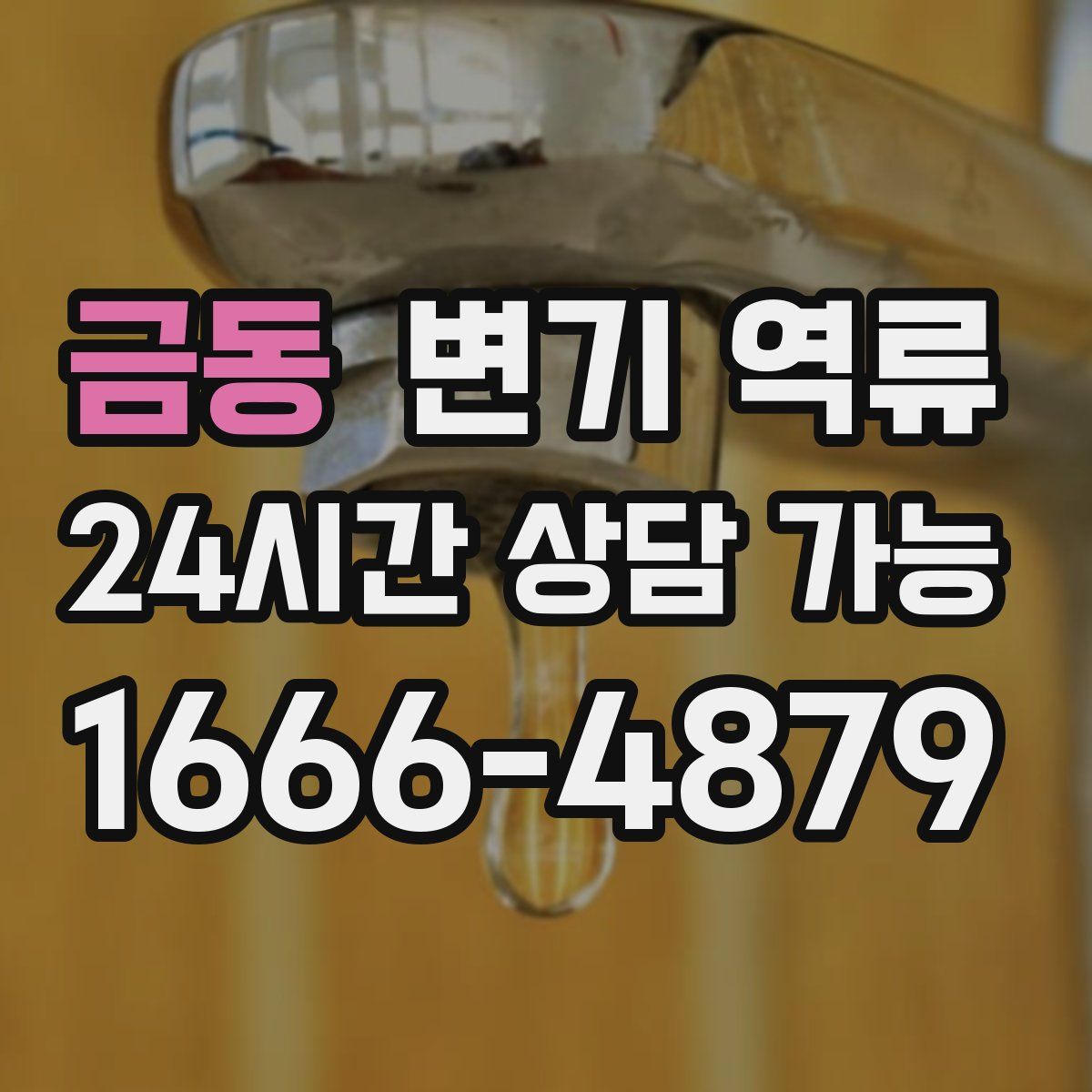 금동 변기 역류