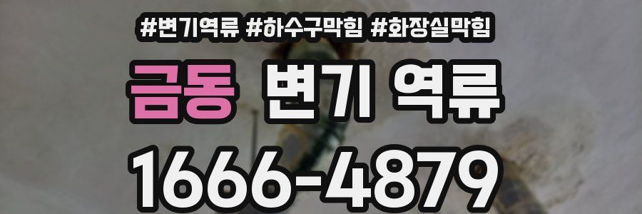 금동 변기 역류