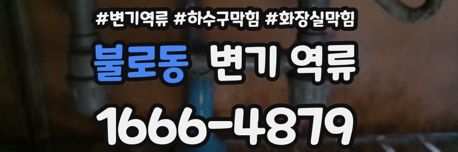 불로동 변기 역류