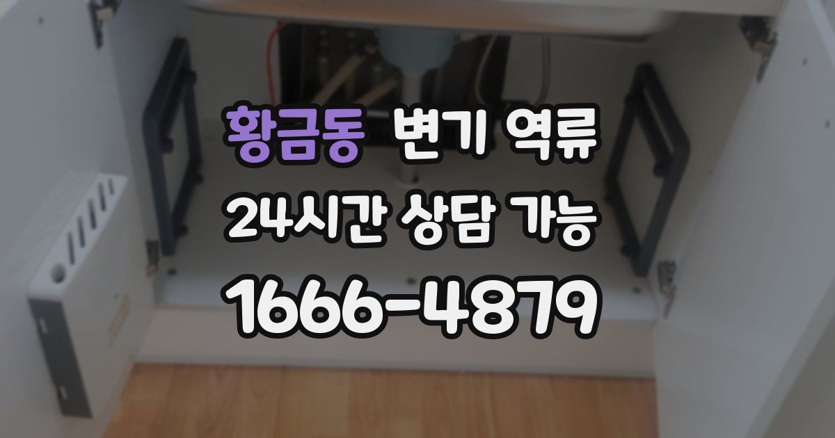 황금동 변기 역류