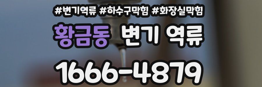 황금동 변기 역류