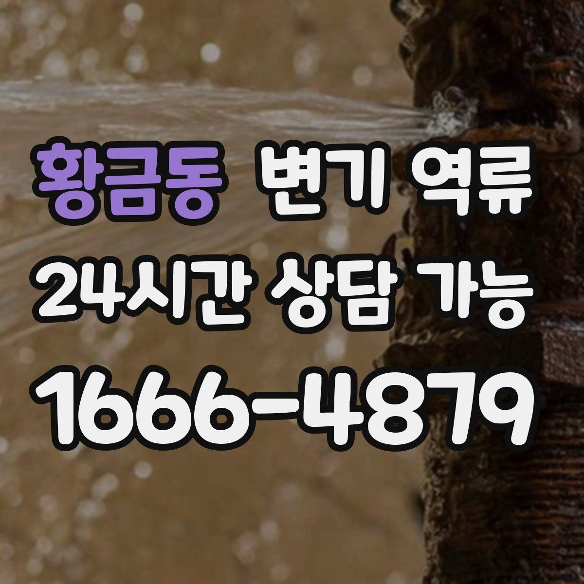 황금동 변기 역류