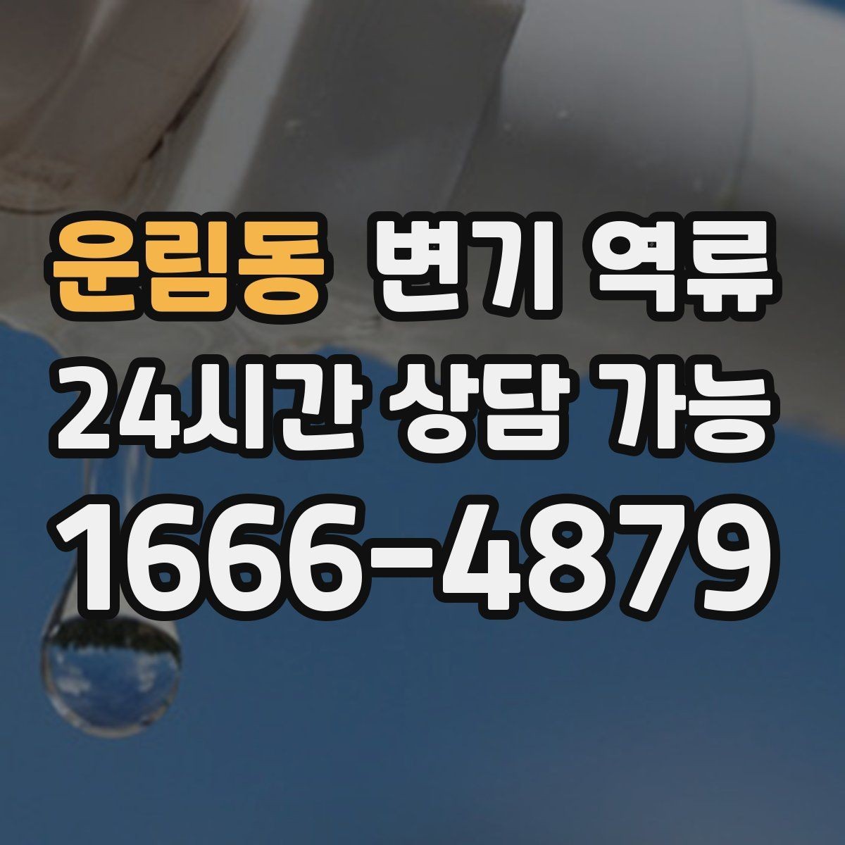 운림동 변기 역류 악취·소리 패턴이 원인 파악에 도움이 되는 이유