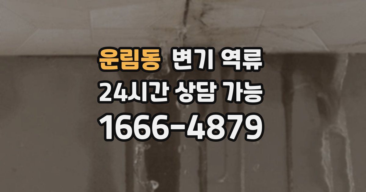 운림동 변기 역류