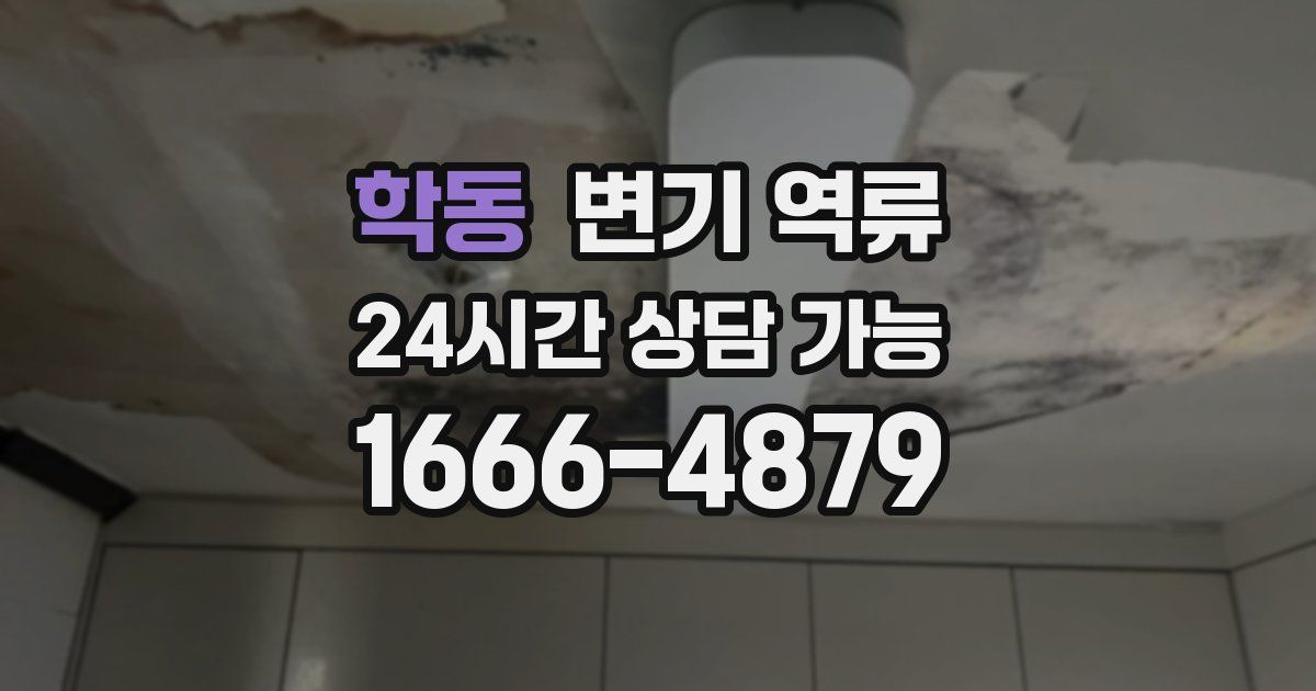 학동 변기 역류