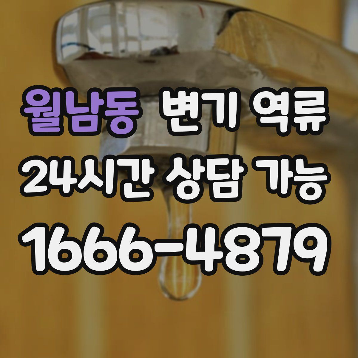 월남동 변기 역류