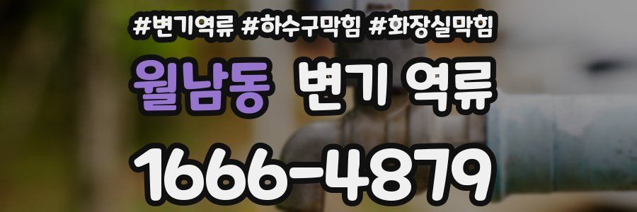 월남동 변기 역류