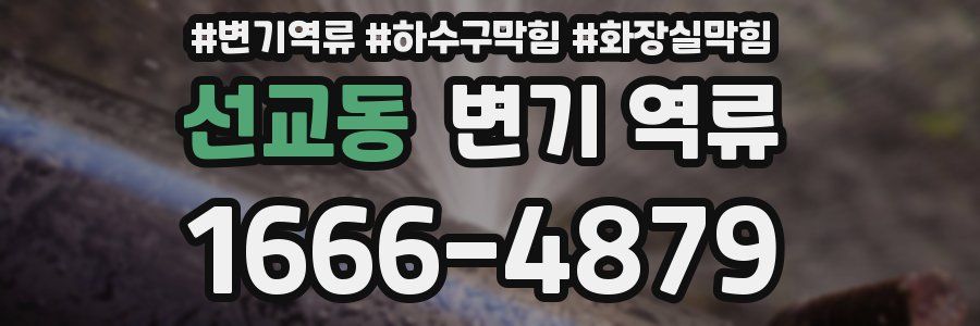 선교동 변기 역류