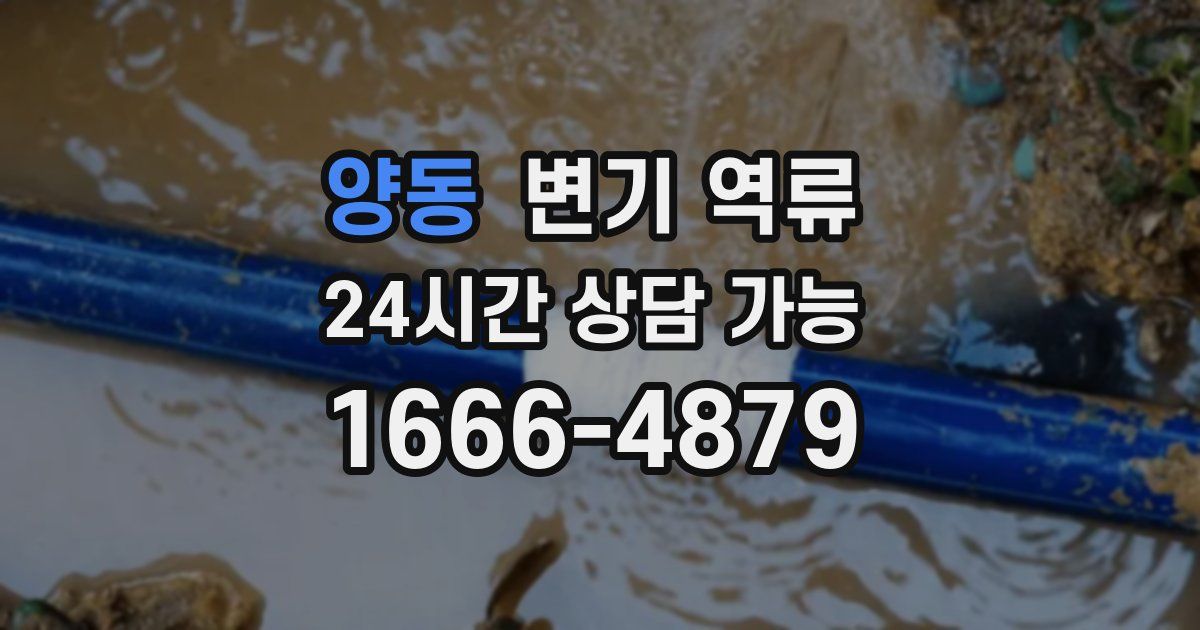 양동 변기 역류