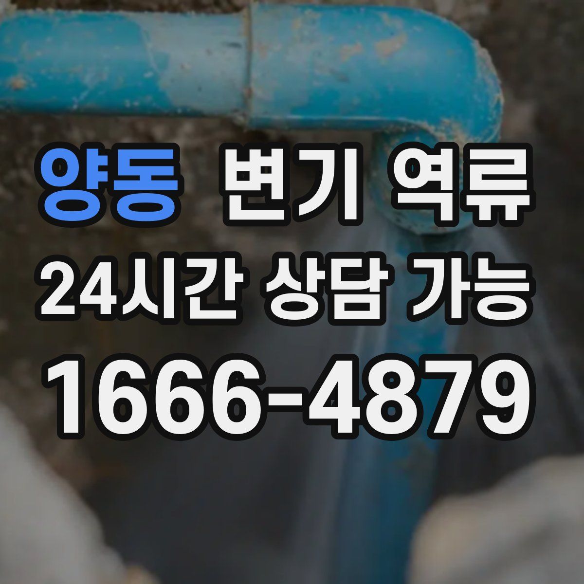 양동 변기 역류