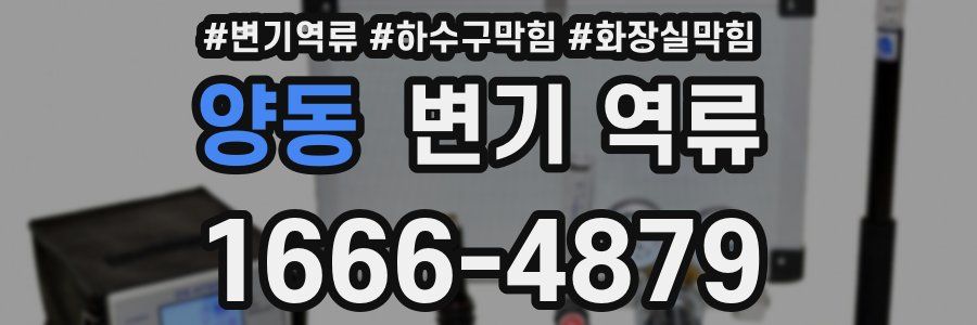 양동 변기 역류