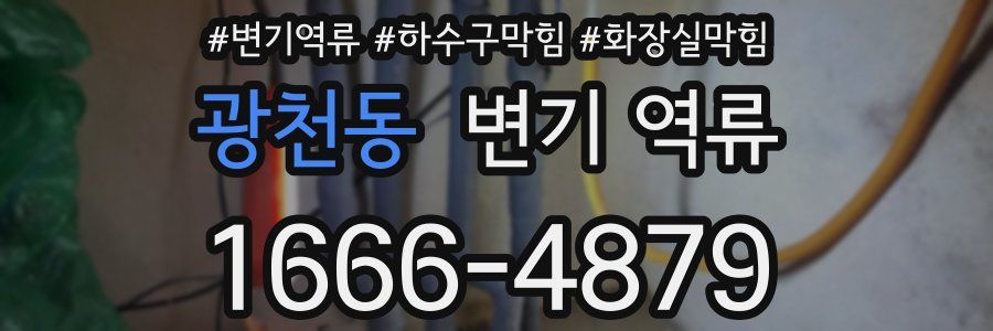 광천동 변기 역류