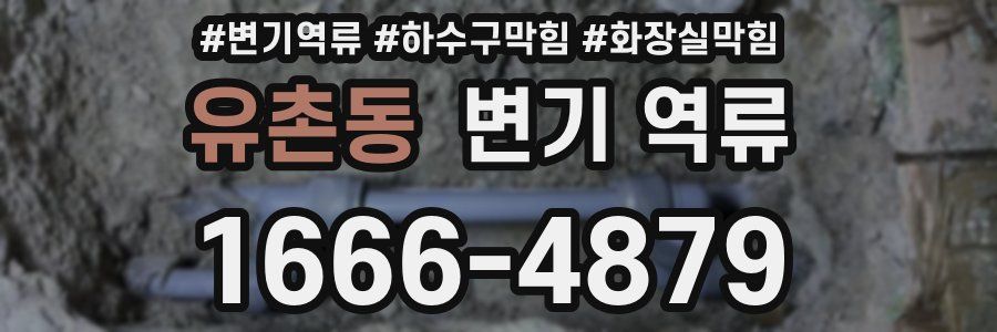 유촌동 변기 역류