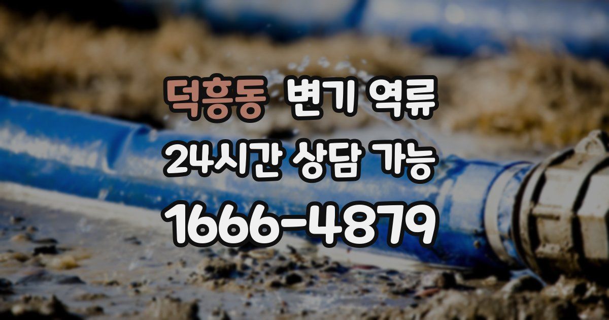 덕흥동 변기 역류