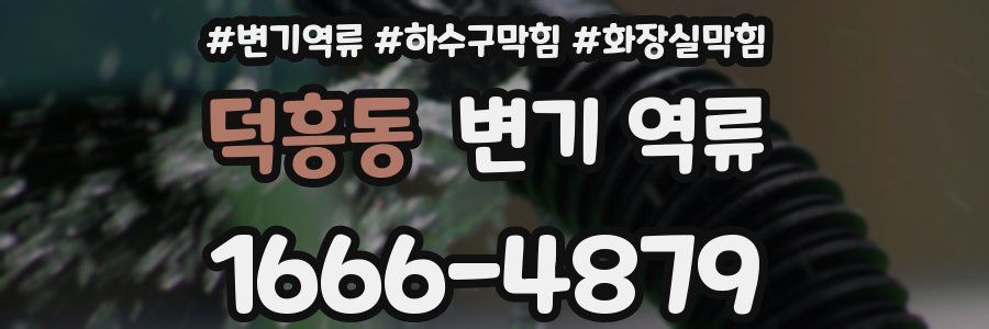 덕흥동 변기 역류