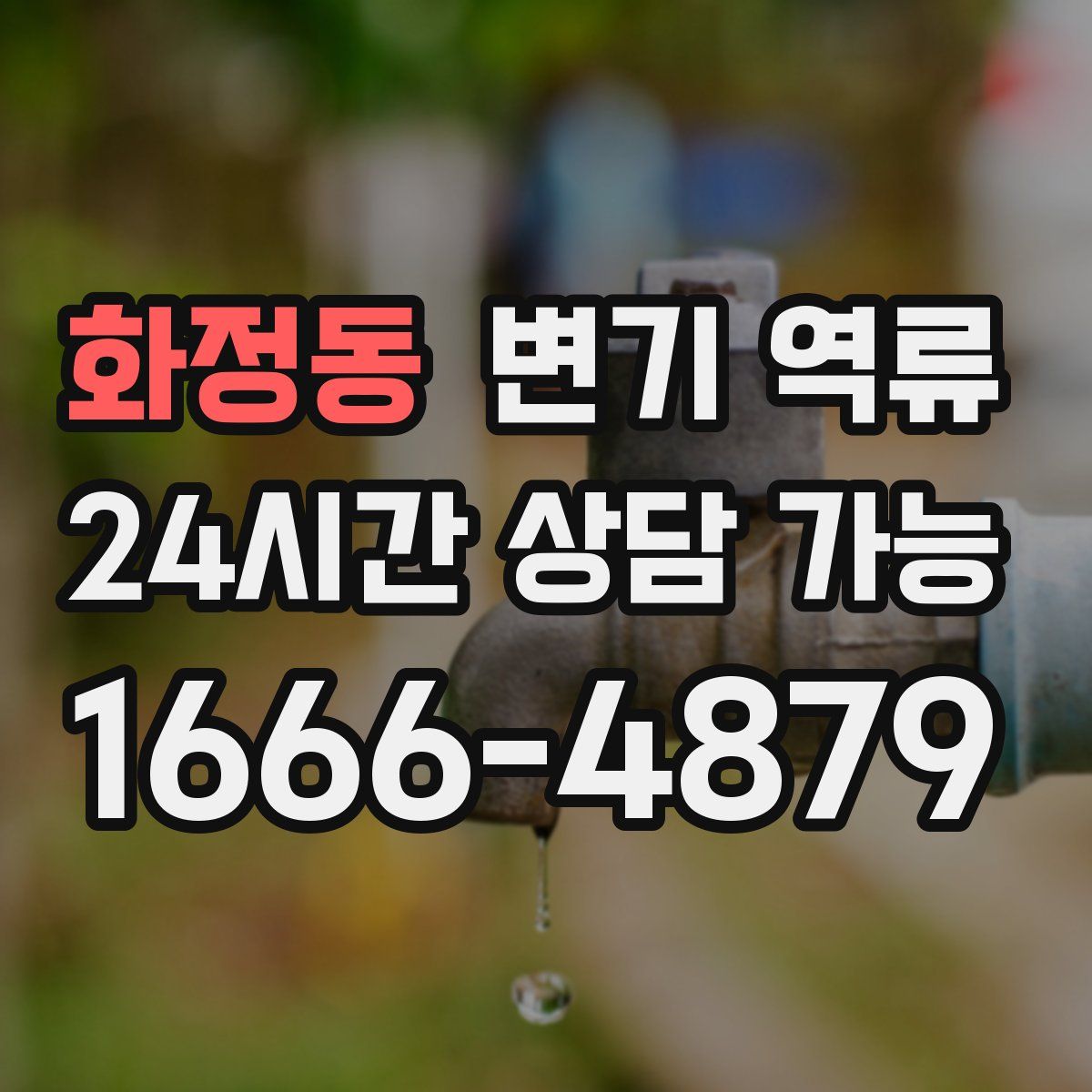 화정동 변기 역류